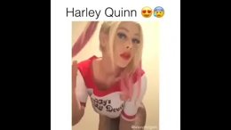 Harley quin